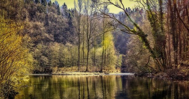 強迫性障害を気にしない