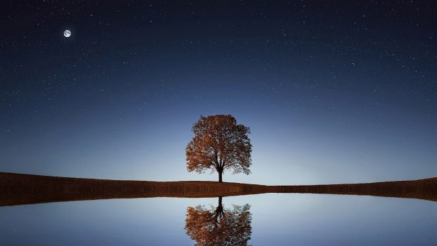 注意されると泣いてしまう