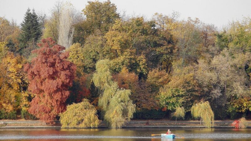 医師に連絡する時期