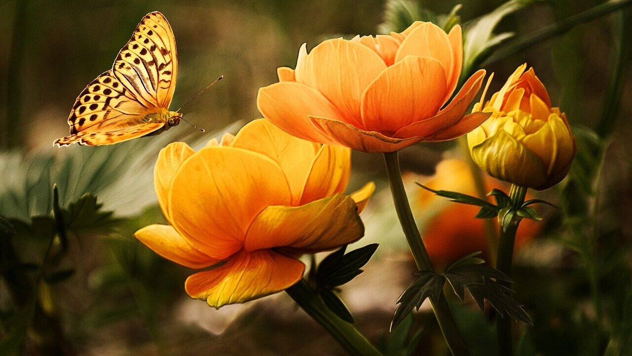 不安でたまらない