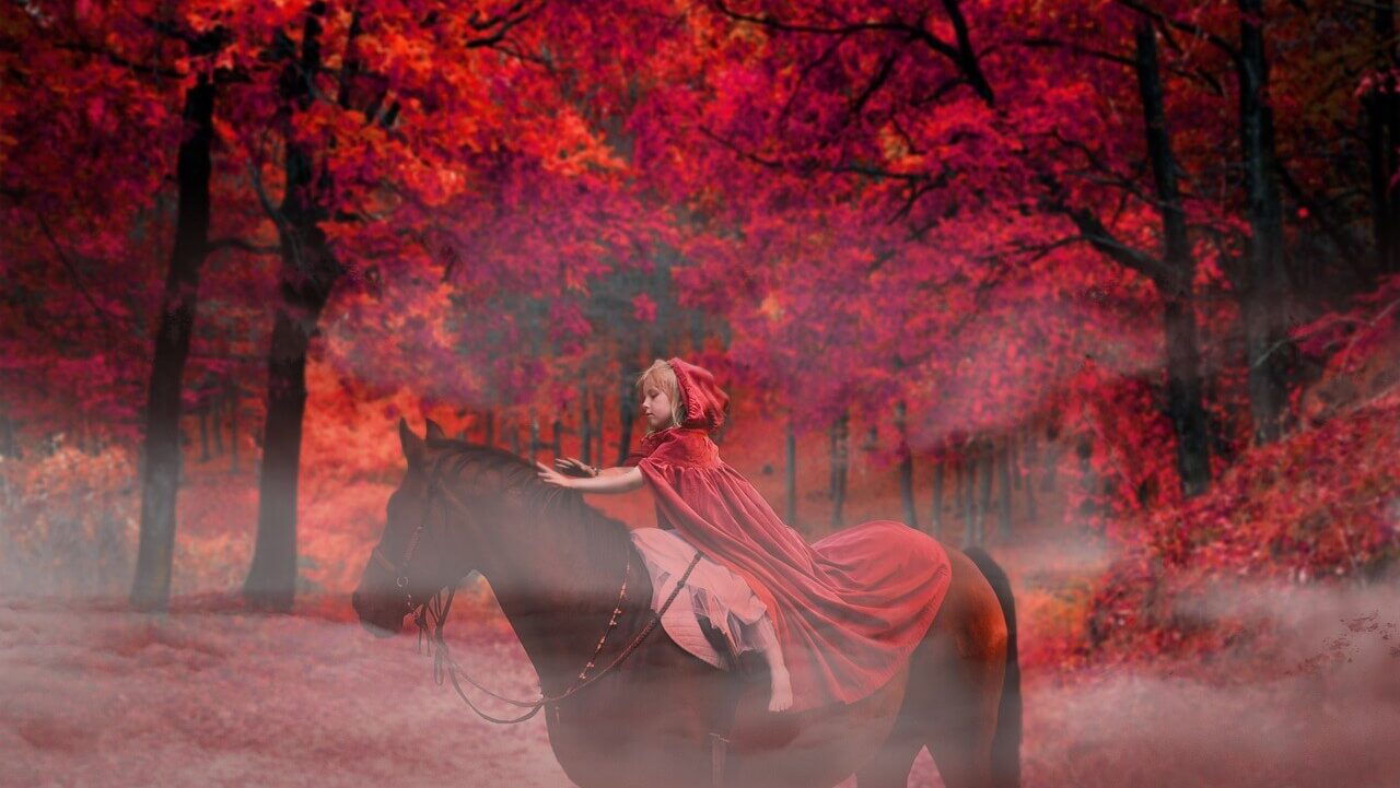 ヒステリー研究