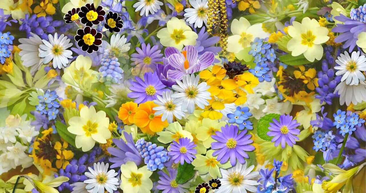 パニック障害の症状