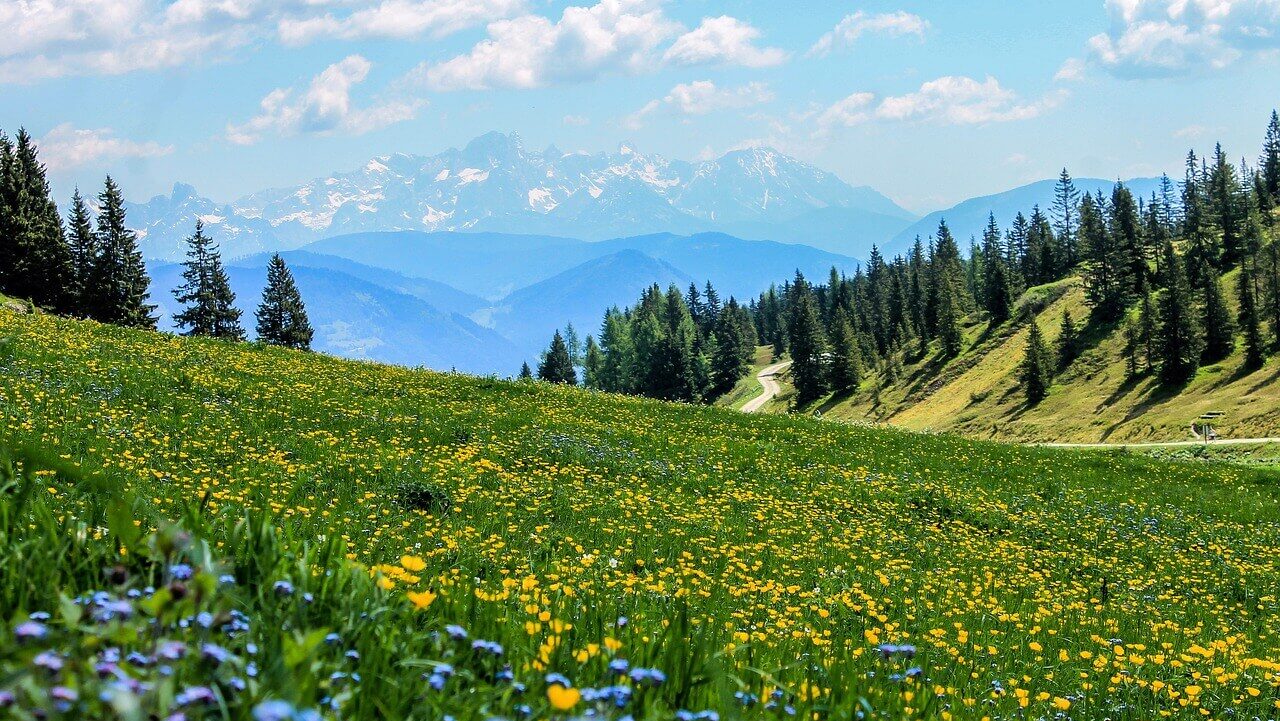 毒親育ちの長女