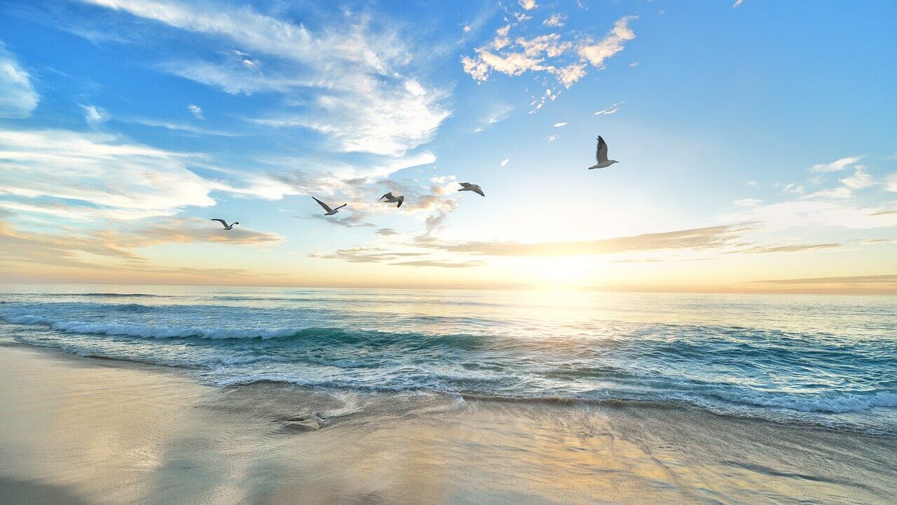 適応障害の気分の波