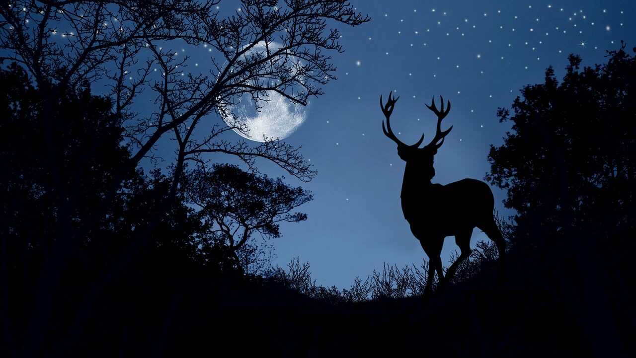 自己否定型ナルシズム