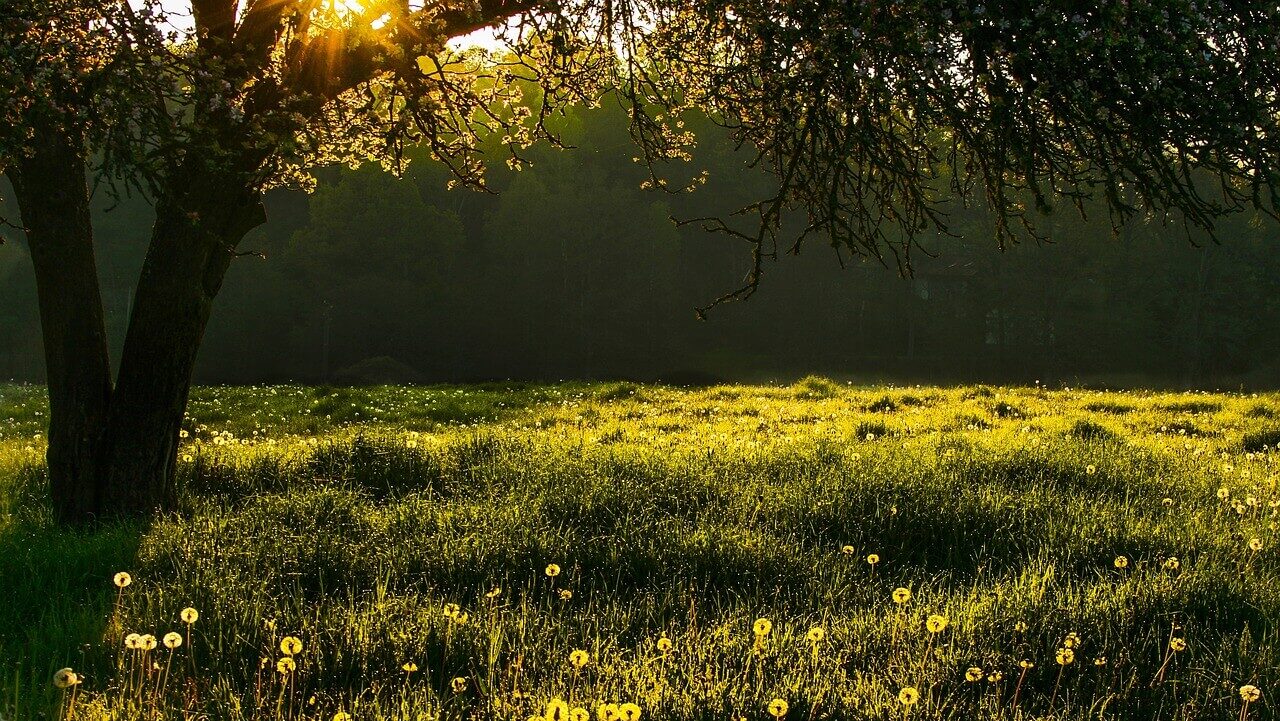 自分の気持ちが分からない