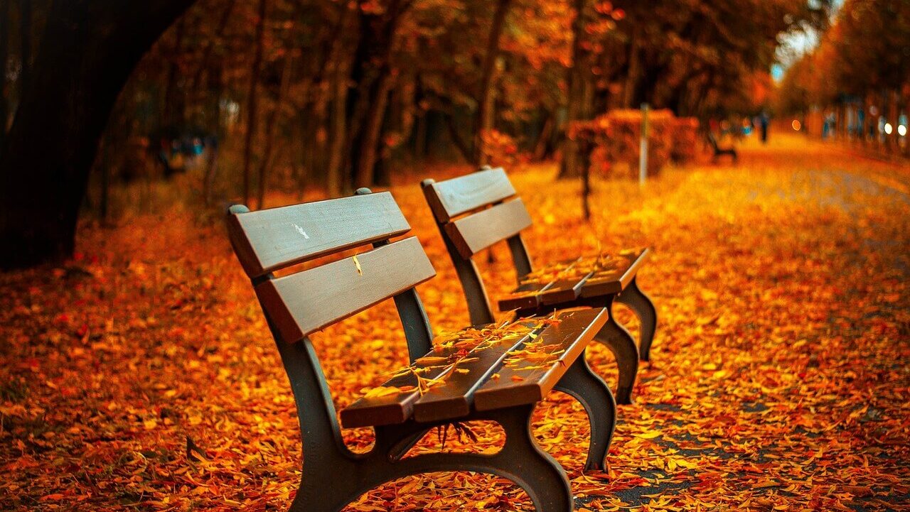 何も楽しくない