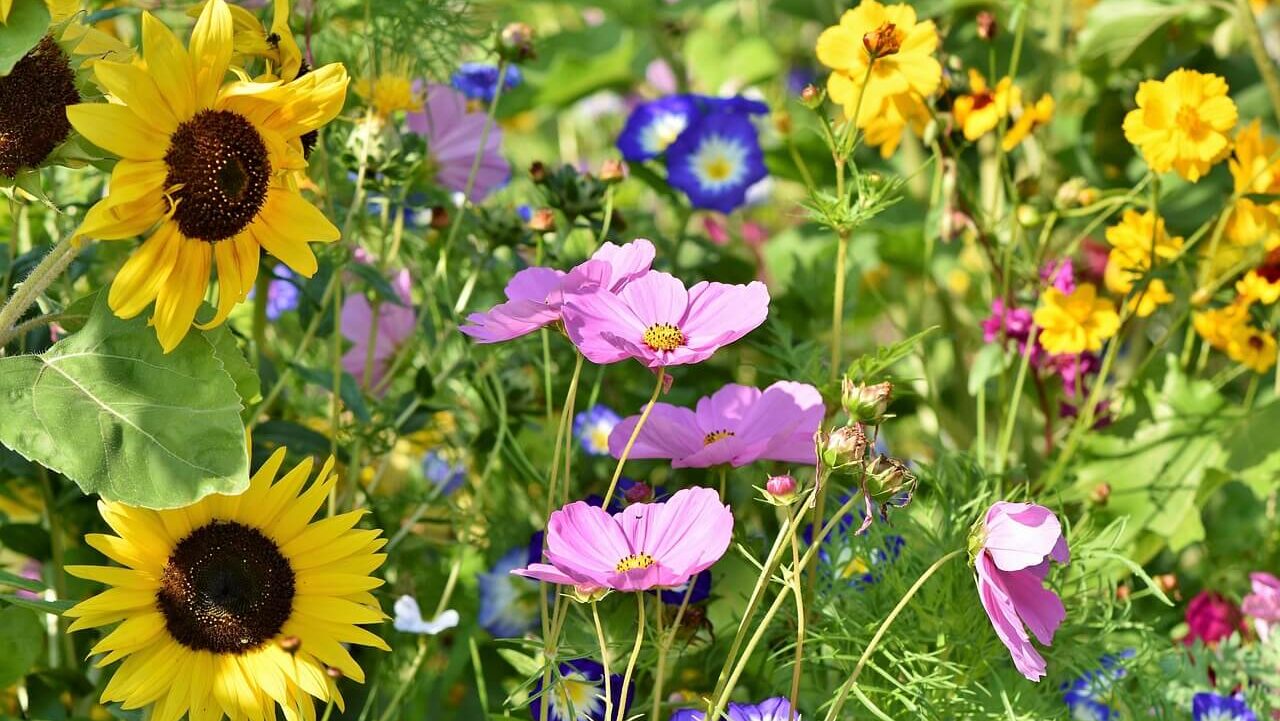 心的外傷後の成長