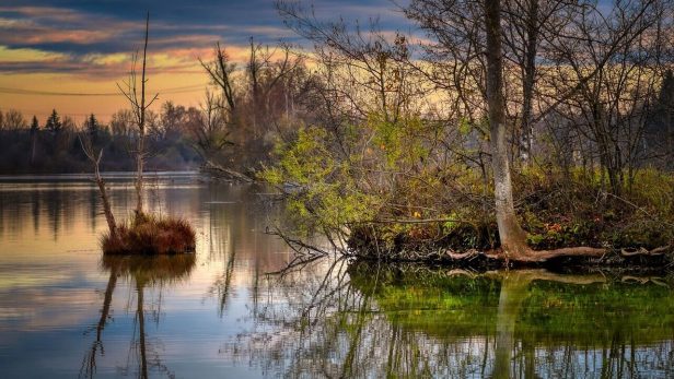 傷ついた子どもの隠れ家