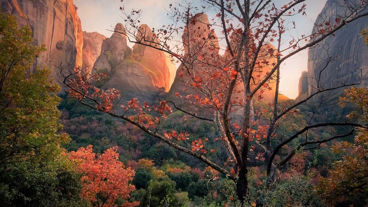 カサンドラ症候群