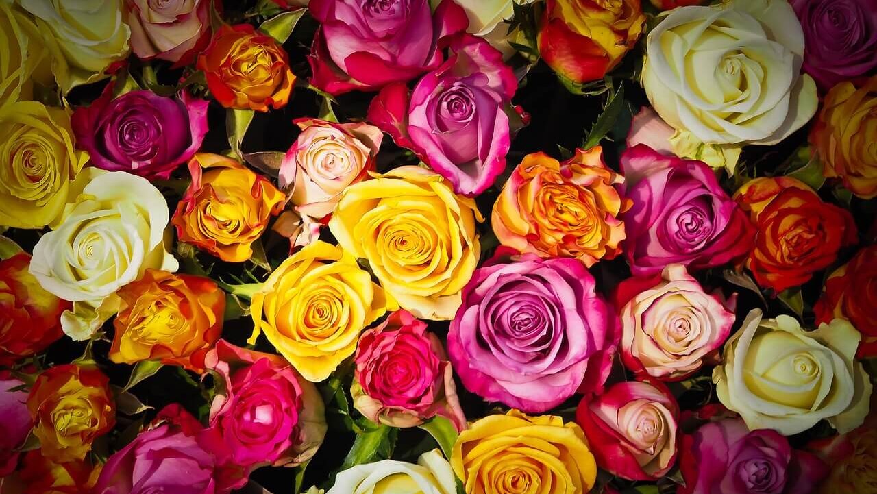 境界性パーソナリティ障害