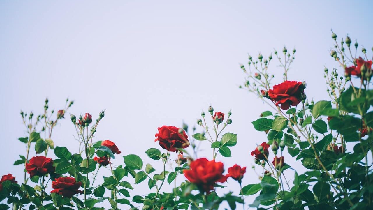 フラッシュバックの対処法