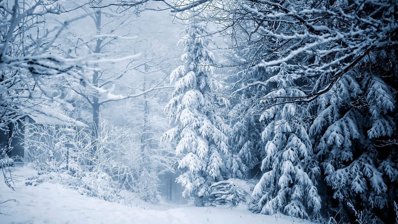 解離性健忘の体験談