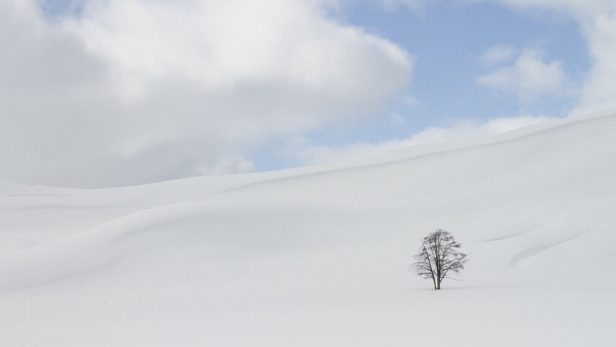 心身の凍りつき