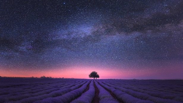 HSP 感受性が強い人のイメージ