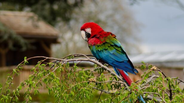 優しい人ほど雑に扱われる