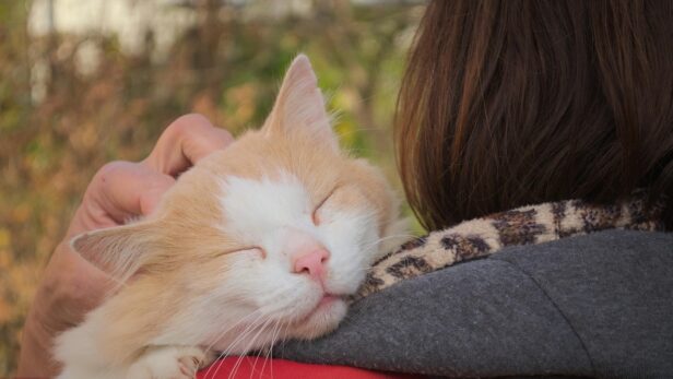 愛着スタイルのセルフチェック