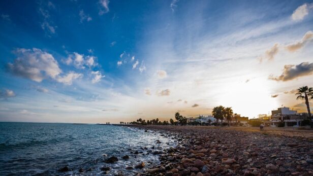 大人の発達障害