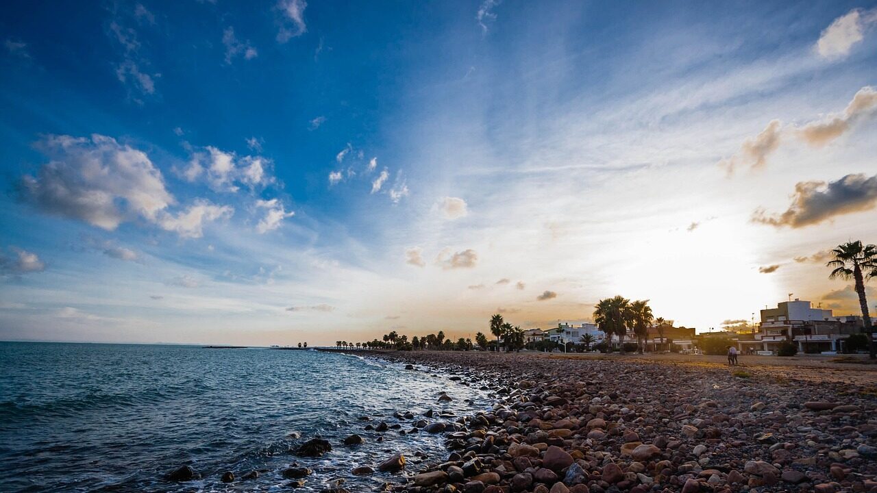 大人の発達障害