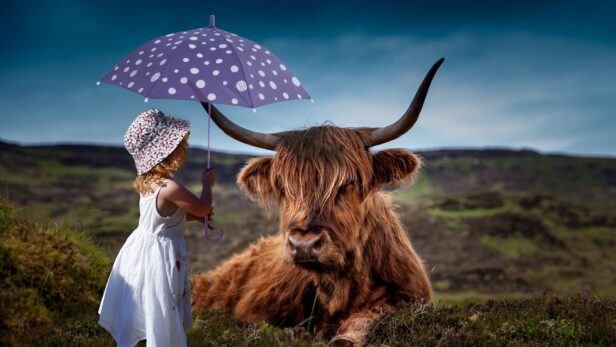 手のかからない子