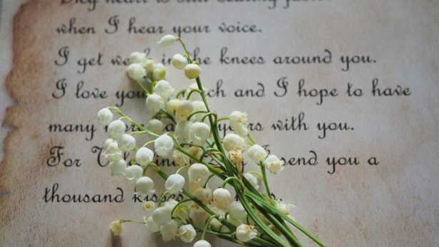 自己愛性パーソナリティ障害の末路