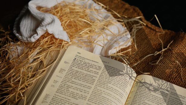 発達性トラウマ障害