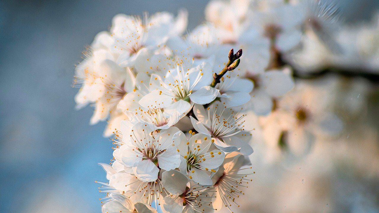 身体が止めに来るとき