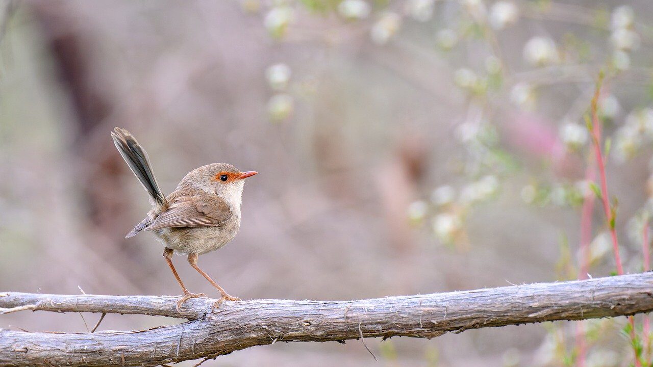 違和感に気づく