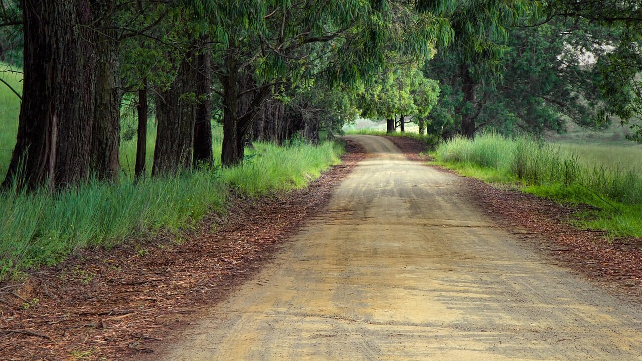 毒親育ちの人が