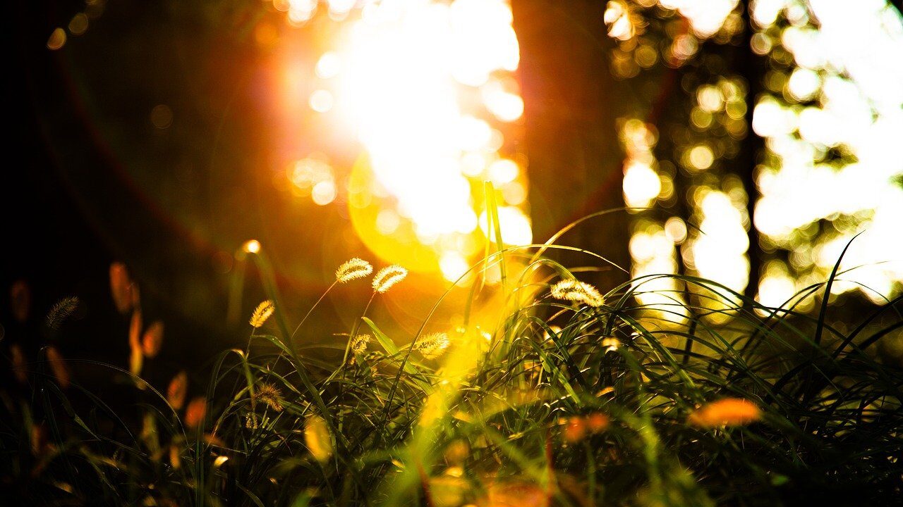 穏やかな暮らしの価値